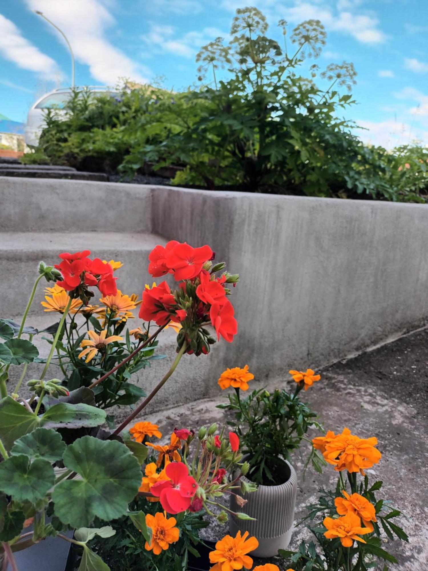 Lara Studio In Laugardalur Valley, Reykjavik Central Park And Botanical Garden, Private Entrance, Free Private Parking On Side Exterior photo