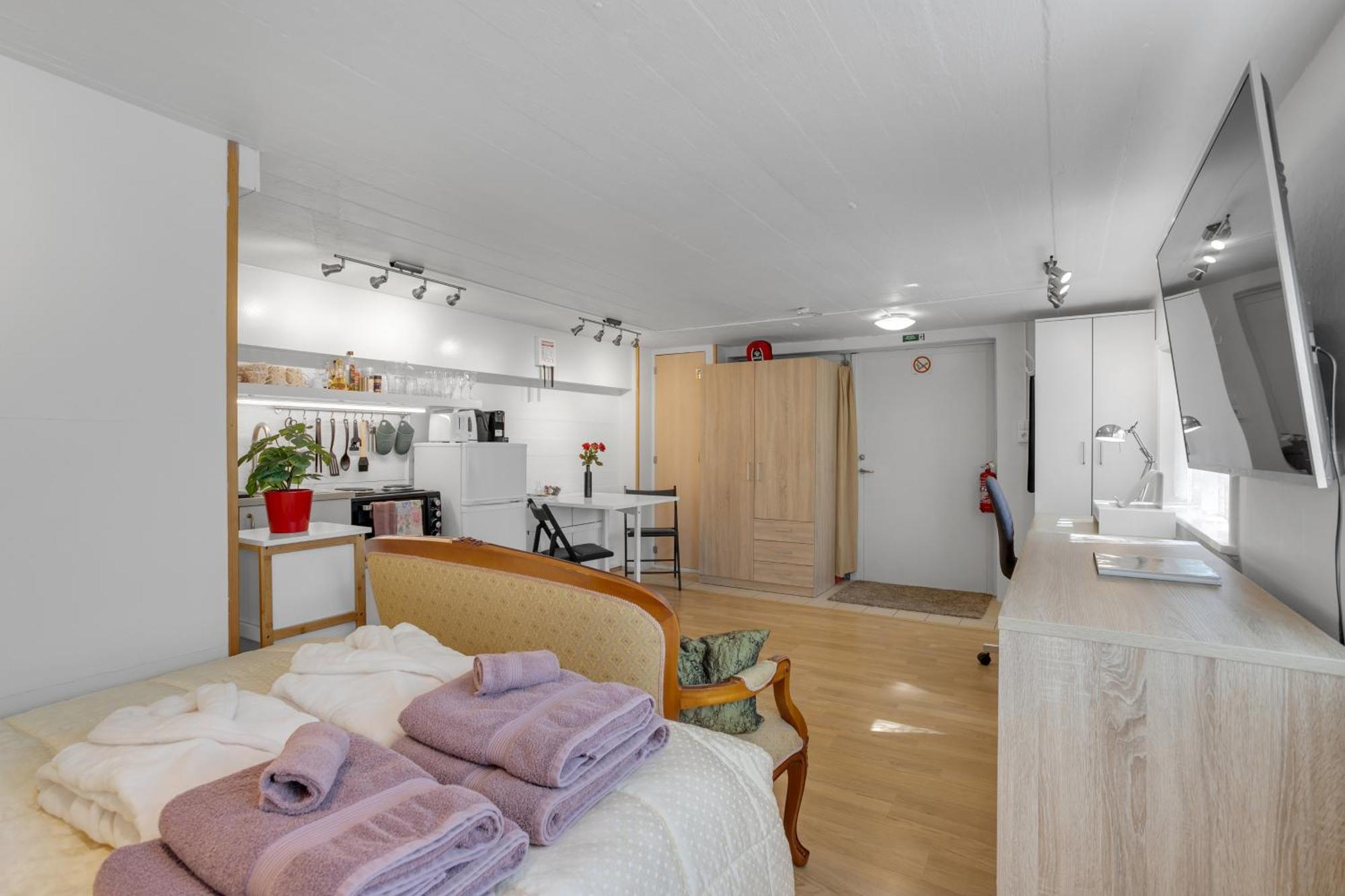 Lara Studio In Laugardalur Valley, Reykjavik Central Park And Botanical Garden, Private Entrance, Free Private Parking On Side Exterior photo