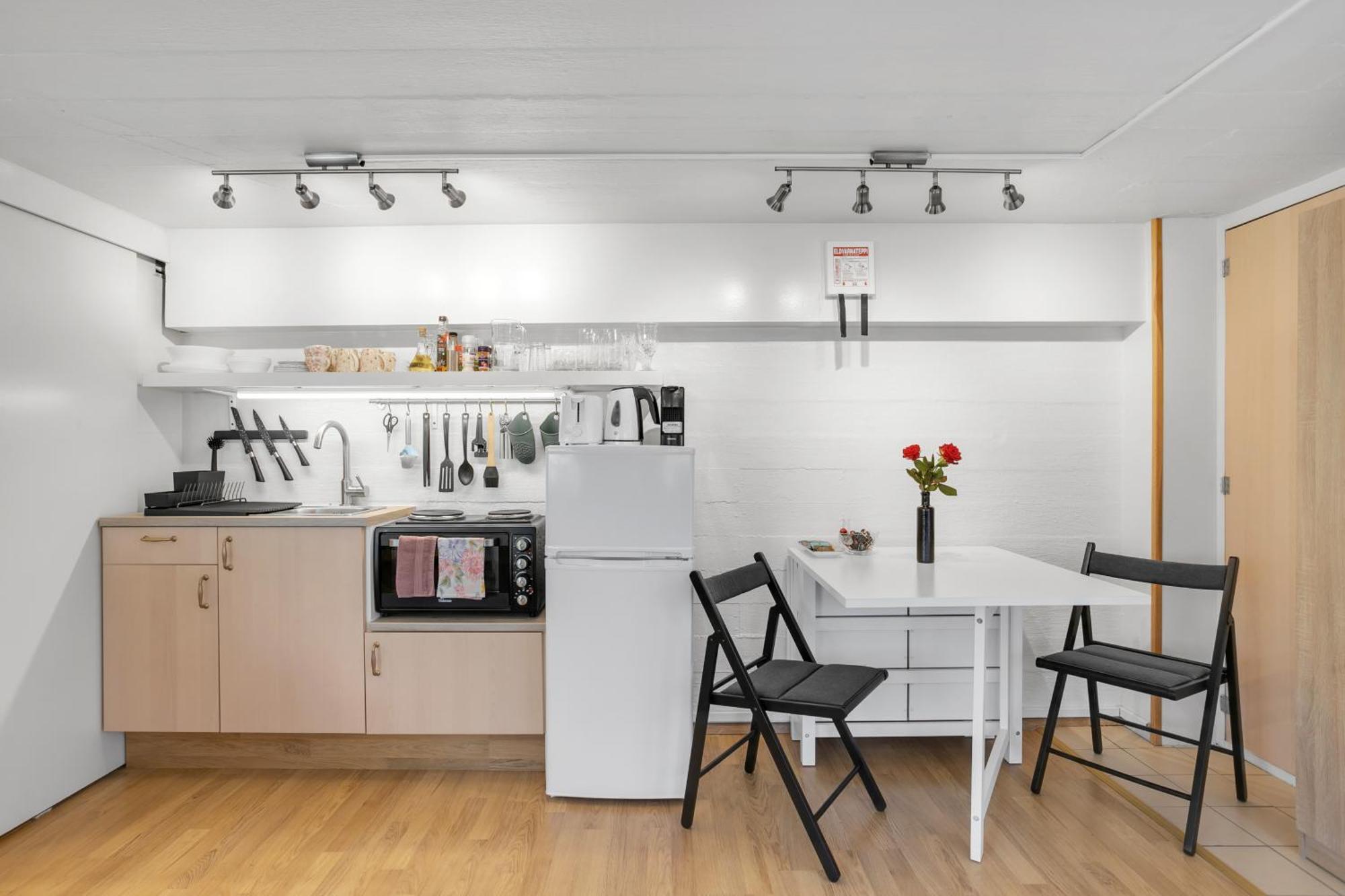 Lara Studio In Laugardalur Valley, Reykjavik Central Park And Botanical Garden, Private Entrance, Free Private Parking On Side Exterior photo
