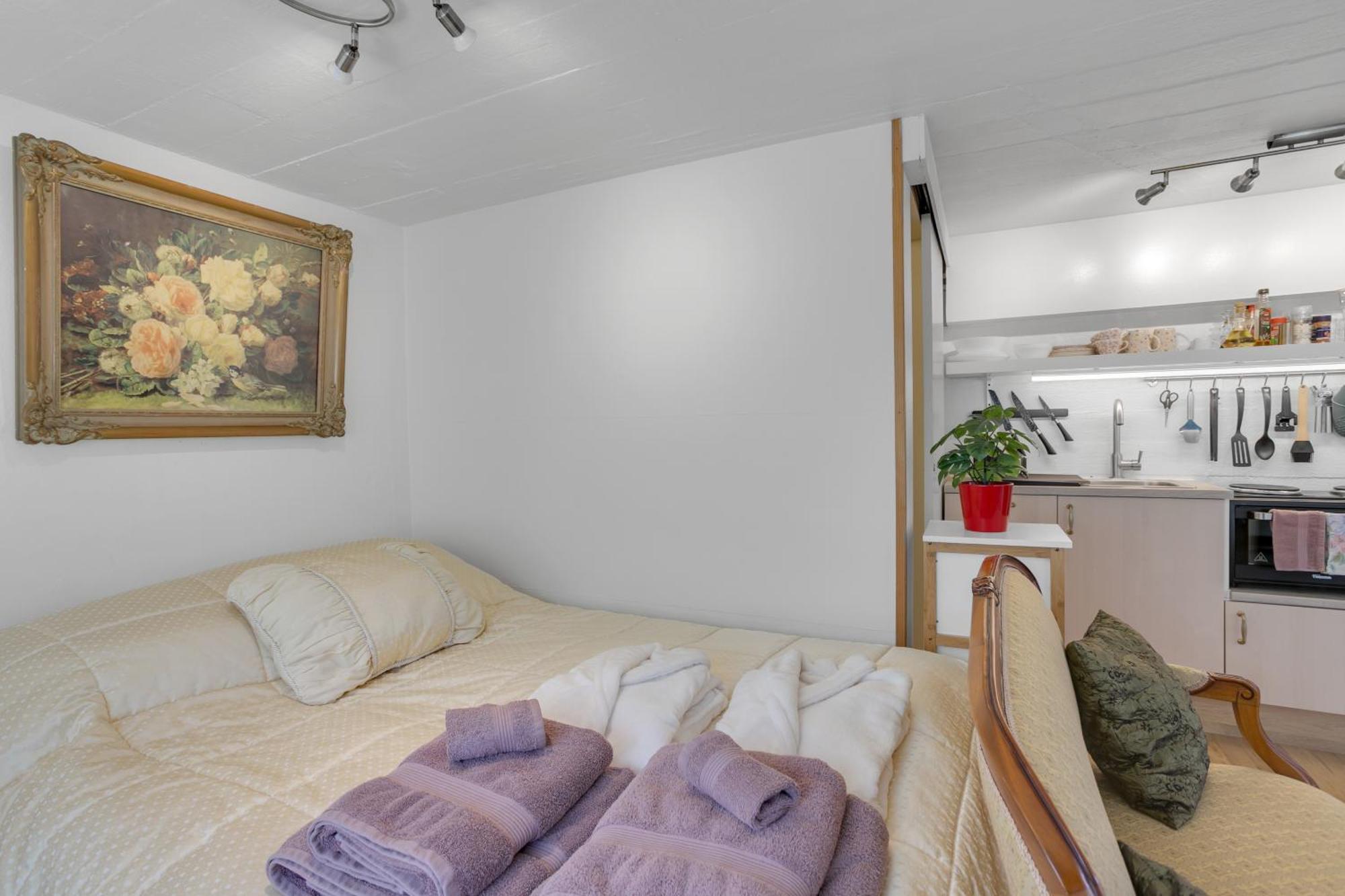 Lara Studio In Laugardalur Valley, Reykjavik Central Park And Botanical Garden, Private Entrance, Free Private Parking On Side Exterior photo